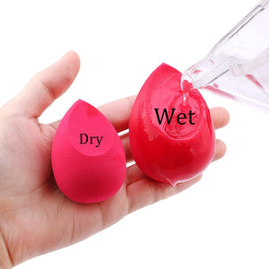 Makeup Sponge/Beauty Blender